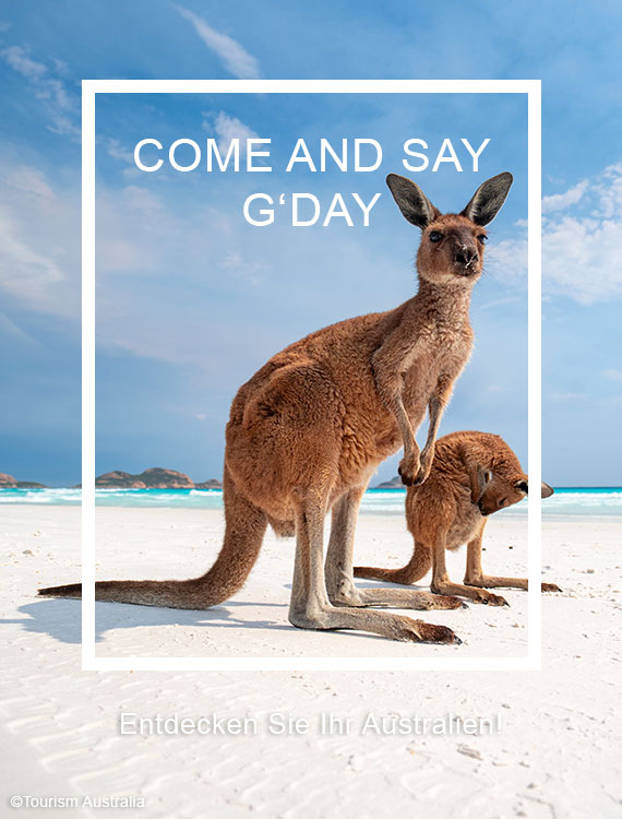 Come and say Good Day