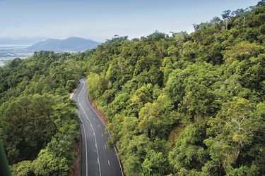 Durch den Regenwald hinauf nach Kuranda, ©Tourism Queensland