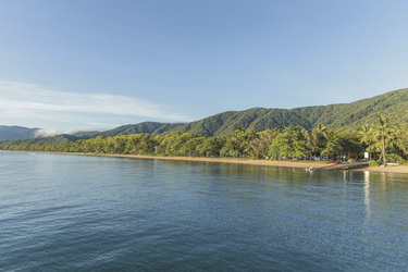 Blick auf Palm Cove