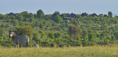 Blick auf die Ngoma Safari Lodge