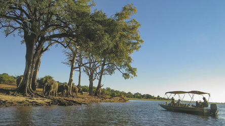 Bootsfahrt auf dem Chobe Fluss, ©Christian Hertel