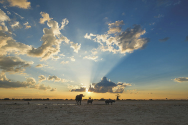 Sonnenuntergang in Savuti, ©Bruce Taylor