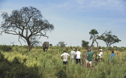 Buschwanderung im Okavango Delta, ©Andrew Howard Photo