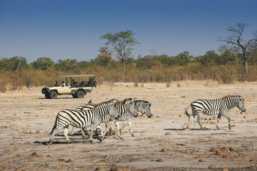 Auf Pirschfahrt, ©African Bush Camps