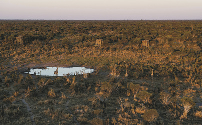 Skybeds im Khwai Game Reserve, ©Peter & Beverly Pickford 2014