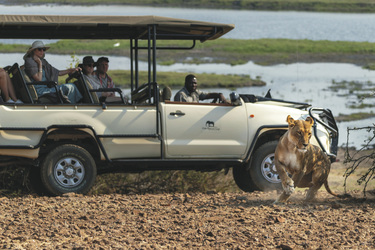 Pirschfahrt im Chobe Nationalpark, ©Bush Ways