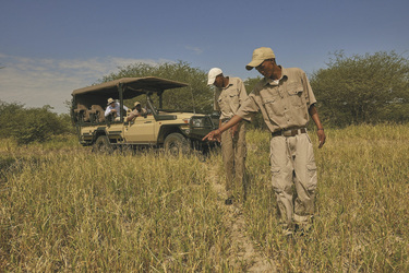 Spurenlesen bei einer Pirschfahrt, ©Bush Ways Safaris