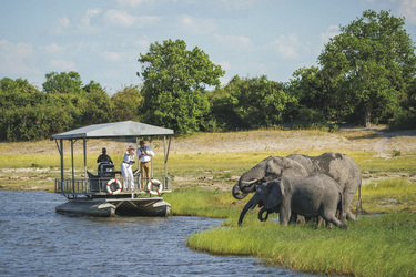 Bootsfahrt auf dem Chobe Fluss, ©Dana Allen www.photosafari-africa.net