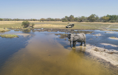 ©Desert & Delta Safaris