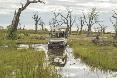 Pirschfahrt im Moremi Wildreservat, ©James Gifford