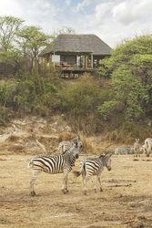 Chalet-Beispiel bei Leroo La Tau, ©Desert & Delta Safaris