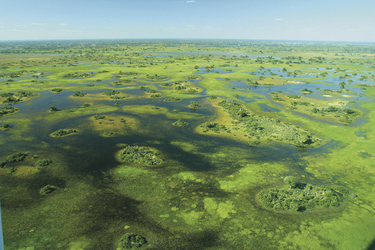 Okavango Delta, ©David Luck