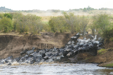 Migration am Mara Fluss, ©Will Fortescue