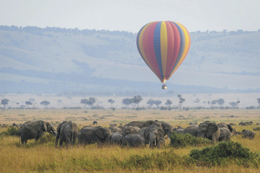 Masai Mara, ©Governors' Camp Collection