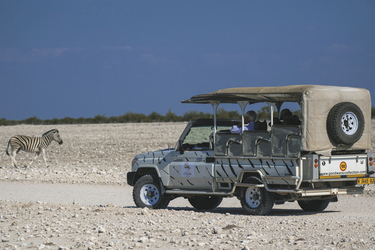 Pirschfahrt im Etosha Nationalpark, ©Günter Lenz