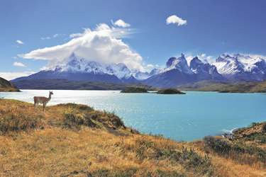 Im Nationalpark Torres del Paine, ©kavram