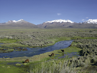 Sajama Nationalpark