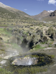 Geysir