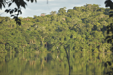 Madidi Nationalpark, ©Creative Tours