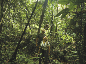 Wanderung durch den Regenwald, ©Leonide Principe