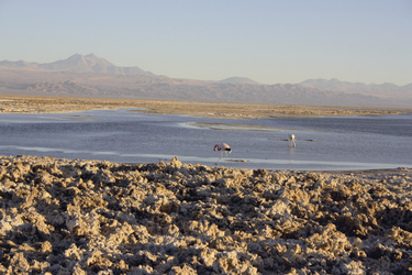 Salar de Atacama, ©Anja Hofer