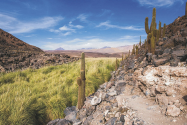 Wanderung im Altiplano, ©Alto Atacama Desert Lodge & Spa