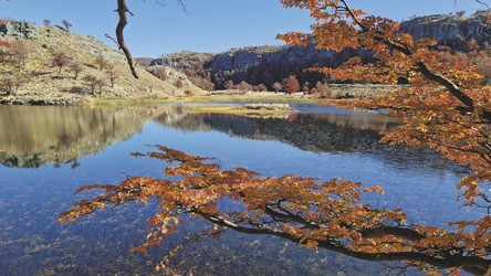 Wanderung im Patagonia Nationalpark, ©K-H. Milter - Karawane Reisen