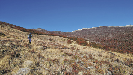 im Patagonia Nationalpark, ©K-H. Milter - Karawane Reisen