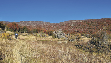 Wanderung im Patagonia Nationalpark, ©K-H. Milter - Karawane Reisen