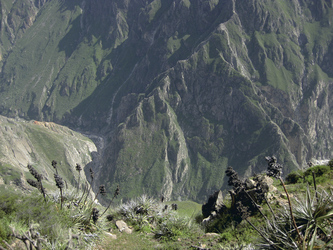 im Colca Canyon