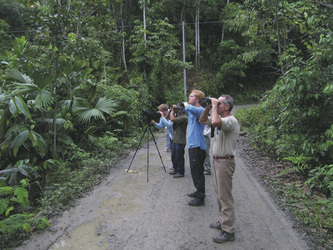 Nationalpark Manu Biosphären Reservat, ©Amazon Trails Peru