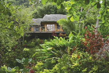 Treehouse Matangi