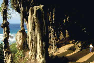 Höhle (c) T.J. Martinez, ©José Martinez Tomas