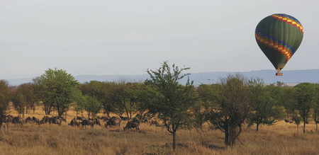 Mit dem Ballon über die Serengeti, ©nadeembudha