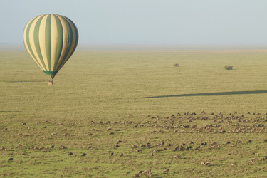 ©Serengeti Balloon Safaris