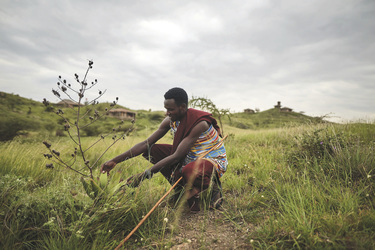 ©Original Maasai Lodge