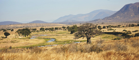 Im Ruaha Nationalpark, ©Alex van Schaik