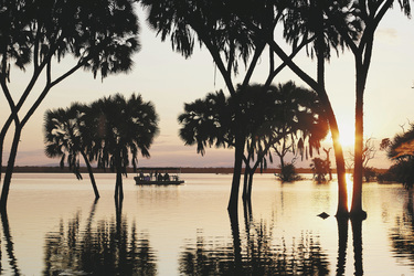 Nyerere Nationalpark, ©Elsa Young