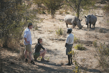 Buschwanderung bei der Thorntree River Lodge, ©DOOKPHOTO