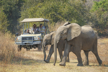 ©Dana Allen www.photosafari-africa.net