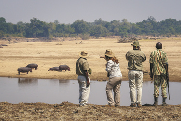 ©Dana Allen www.photosafari-africa.net