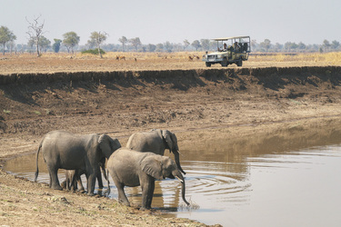 ©Dana Allen www.photosafari-africa.com