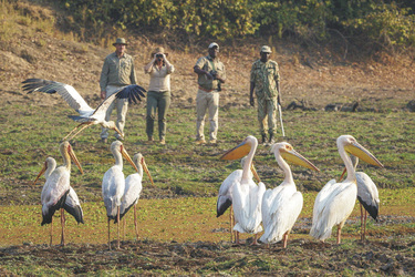 ©Dana Allen www.photosafari-africa.net