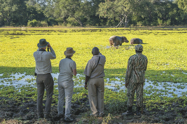 ©Dana Allen www.photosafari-africa.com