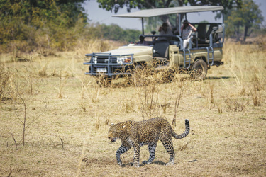 ©Dana Allen www.photosafari-africa.net