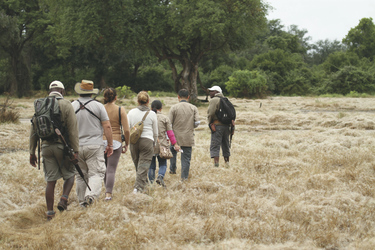 Buschwanderung , ©African Bush Camps