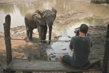 Hautnahe Begegnung mit der Tierwelt, ©African Bush Camps