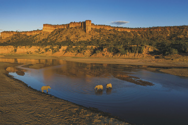 ©Chilo Gorge Safari Lodge