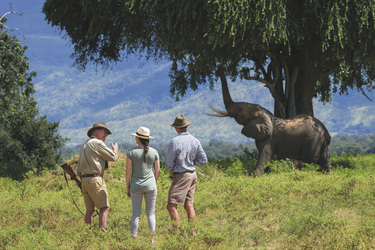 Buschwanderung im Mana Pools Nationalpark, ©Dana Allen