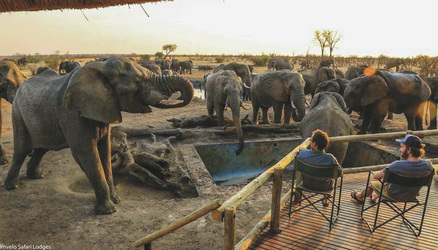 Elefanten zu Besuch in der Nehimba Lodge